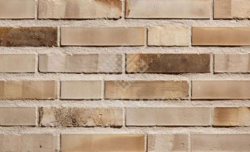 Ringofenklinker Schmelz-weiß Kohlebrand