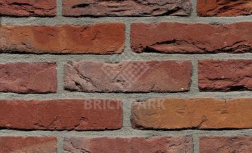 Кирпич Terca ROODPAARS BONT RENO60