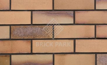  Кирпич Hagemeister Klinker Rugen Gt