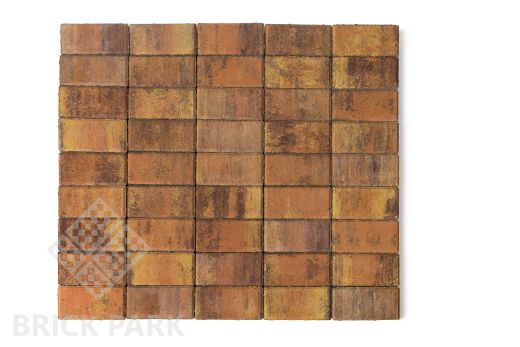 Бетонная брусчатка БРАЕР Прямоугольник Color Mix 17 Прайд 200x100x60