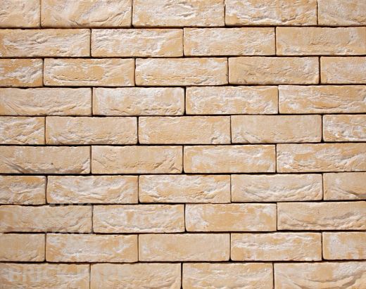 Кирпич Nelissen Rubio  WF50