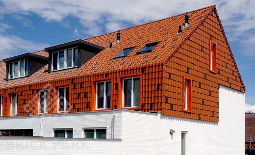 Керамическая черепица Roben LIMBURG Rot-engobiert (Красный, ангоб)