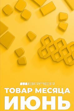 Акция «Товар месяца» на тротуарную плитку BRAER, весь Июнь