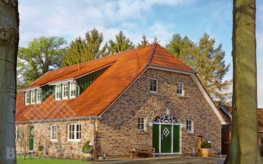 Керамическая черепица Roben FLANDERNplus Rot-engobiert (Красный,ангоб)