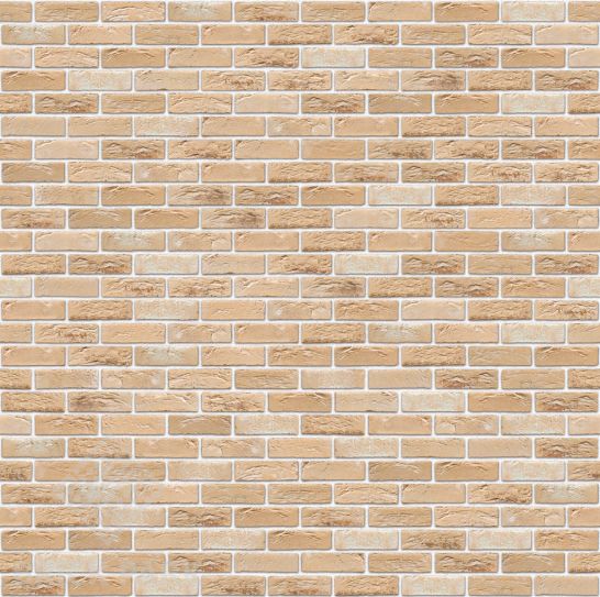 Кирпич Nelissen  Braga WF50