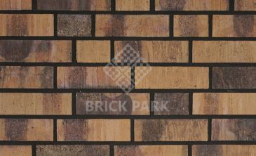  Кирпич Hagemeister Klinker Antwerpen GB WRF