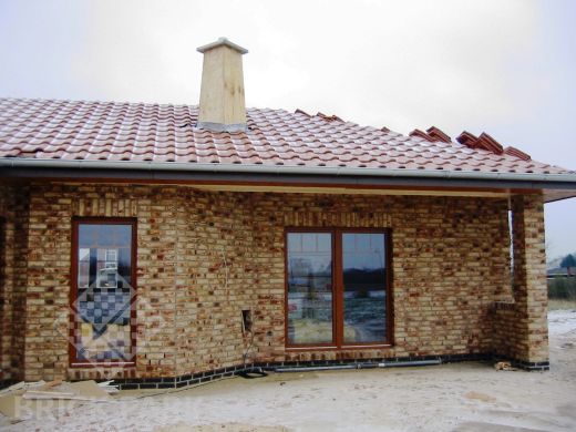 Кирпич Muhr Klinkerwerke 36 Rheinish-Bunt NF