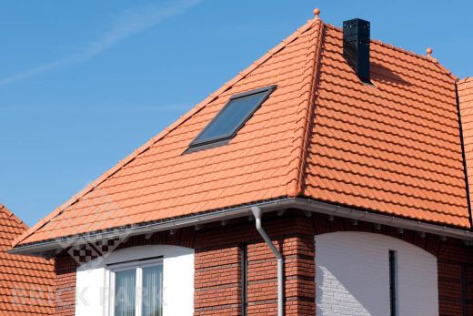 Керамическая черепица Roben RHEINLAND Naturrot (Натуральный красный)