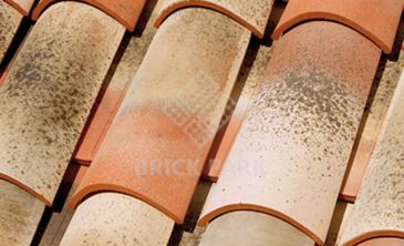 Черепица La Escandella Curved Roof Tile T5 RED Hispania