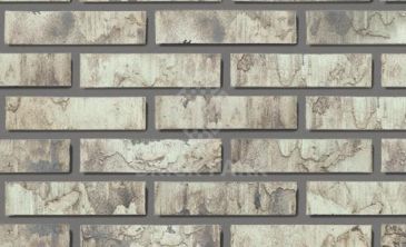 Кирпич Daas Baksteen Birchwood CF