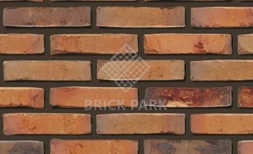 Кирпич Daas Baksteen Ortega Falls WDF