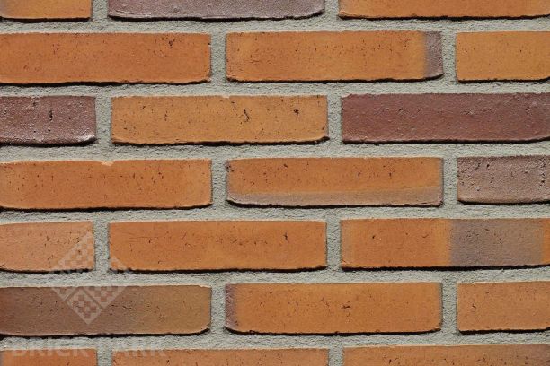 Кирпич Terca GOUDSBLOEM WF50