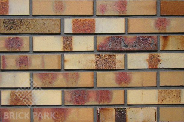  Кирпич Hagemeister Klinker Stettin Gt