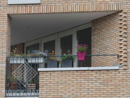 Кирпич Daas Baksteen Sonnendal WF