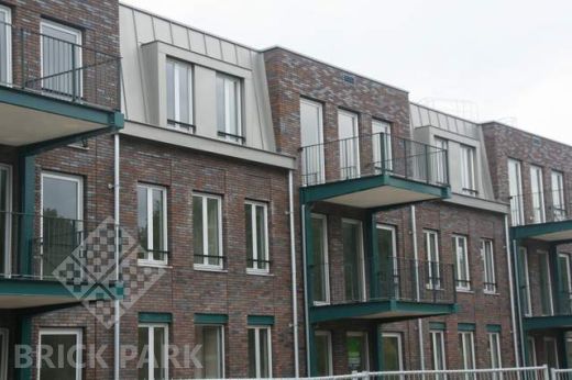 Кирпич Daas Baksteen Pinewood SNF