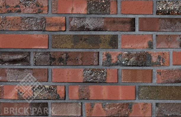  Кирпич Hagemeister Klinker Baltrum Gt NF