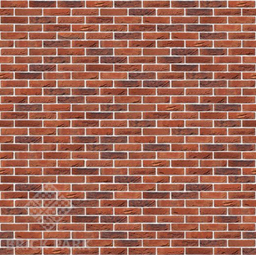 Кирпич Nelissen Dante N70