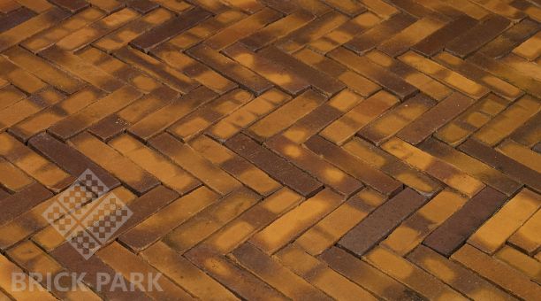 Клинкерная брусчатка Penter ZONNEBLOEM WASSERSTRICH WF85