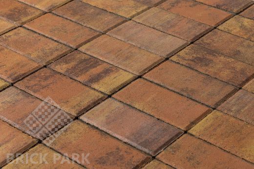 Бетонная брусчатка БРАЕР Прямоугольник Color Mix 17 Прайд 200x100x60