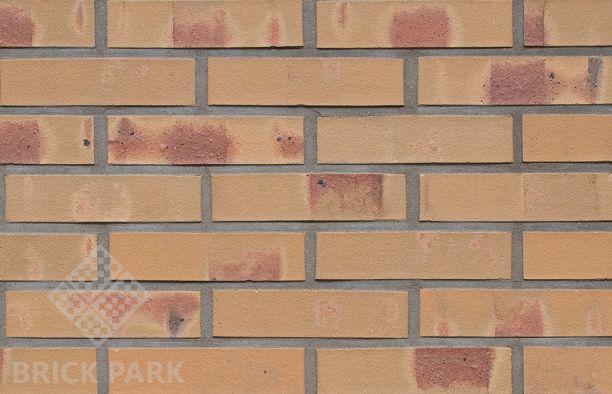  Кирпич Hagemeister Klinker Dresden Gt WF